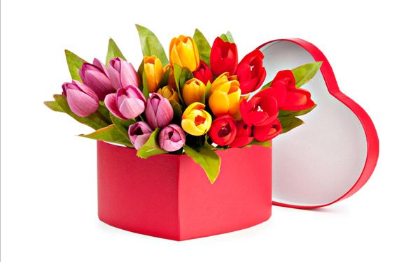 9 loại hoa ngày 20/10 cực đẹp và ý nghĩa tặng người phụ nữ thân yêu