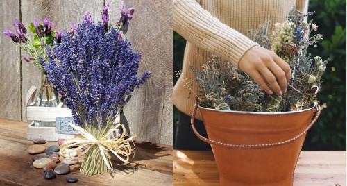 Bỏ túi bí kíp cắm hoa Lavender đẹp chuẩn Pháp