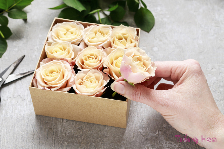 Cách làm hộp quà bằng hoa tươi dễ dàng chỉ trong vài bước