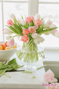 Cách cắm và sắp xếp hoa tulip trong bình thủy tinh lớn