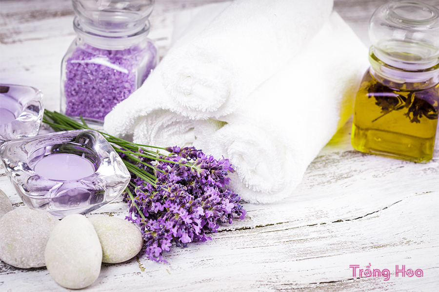 Hoa oải hương được sử dụng nhiều trong các sản phẩm nhà tắm
