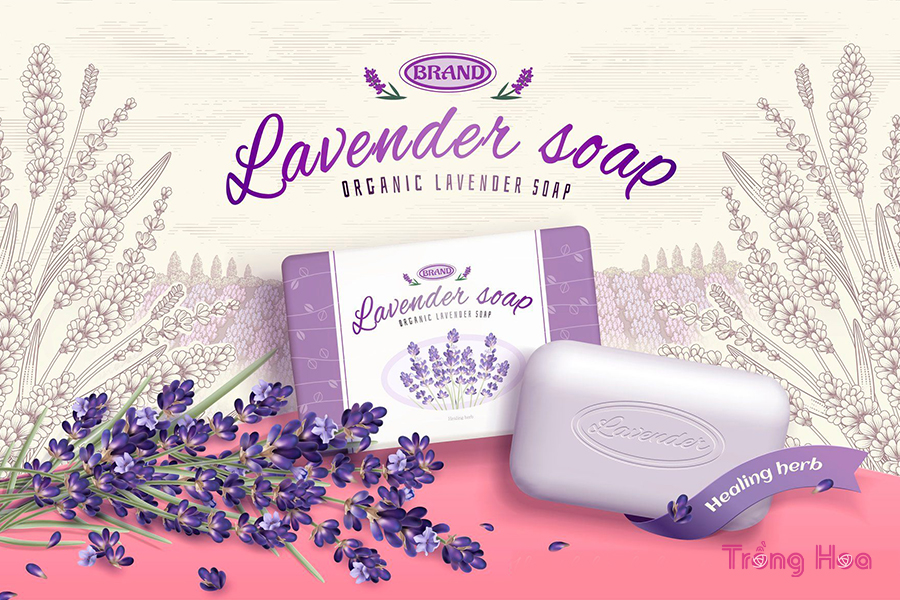 Lavender được làm xà phòng thơm