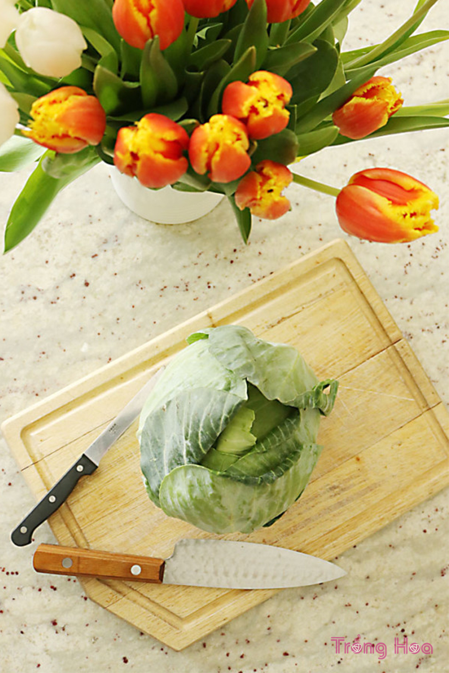 Chuẩn bị bắp cải và hoa tulip