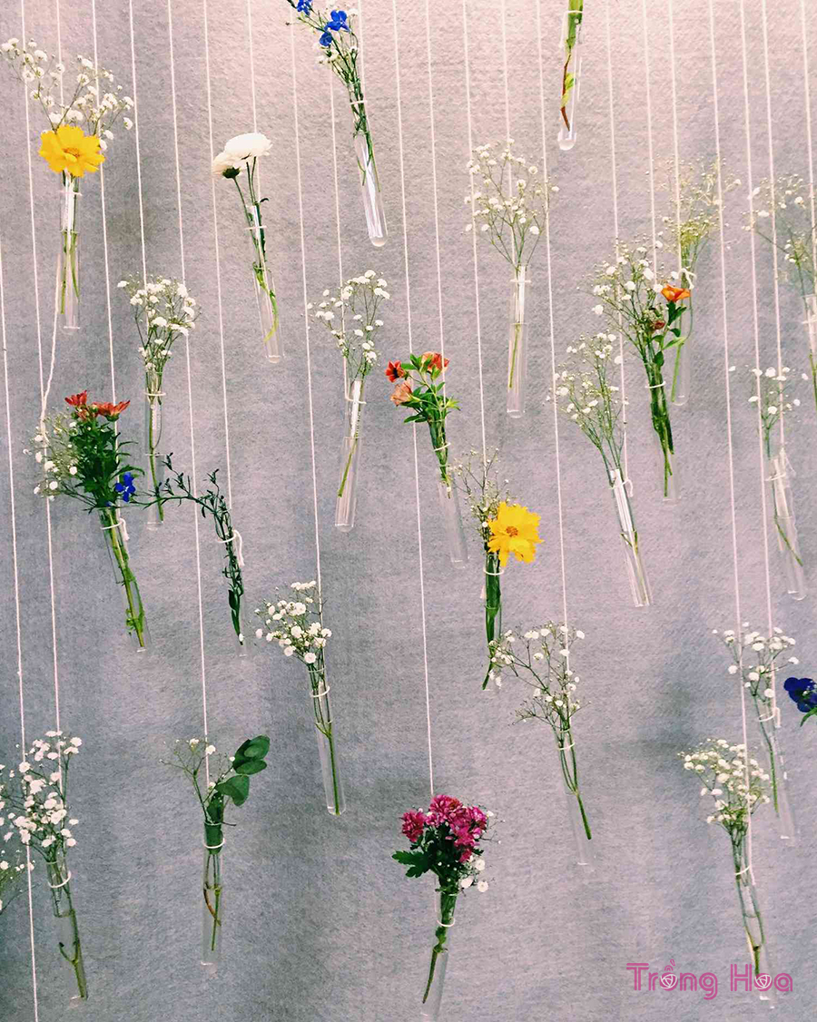 16 Ý tưởng trang trí bằng hoa mà bạn nên thử