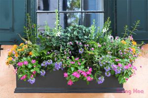 15 ý tưởng trồng hộp hoa cửa sổ tuyệt đẹp cho mùa xuân