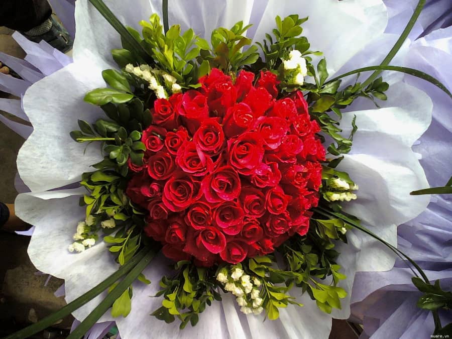 8 cách bó hoa đẹp tặng bạn gái