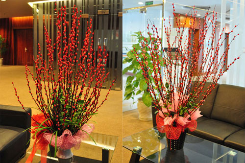 5 loại hoa rực rỡ sắc màu trưng bày ngày tết cực bắt mắt