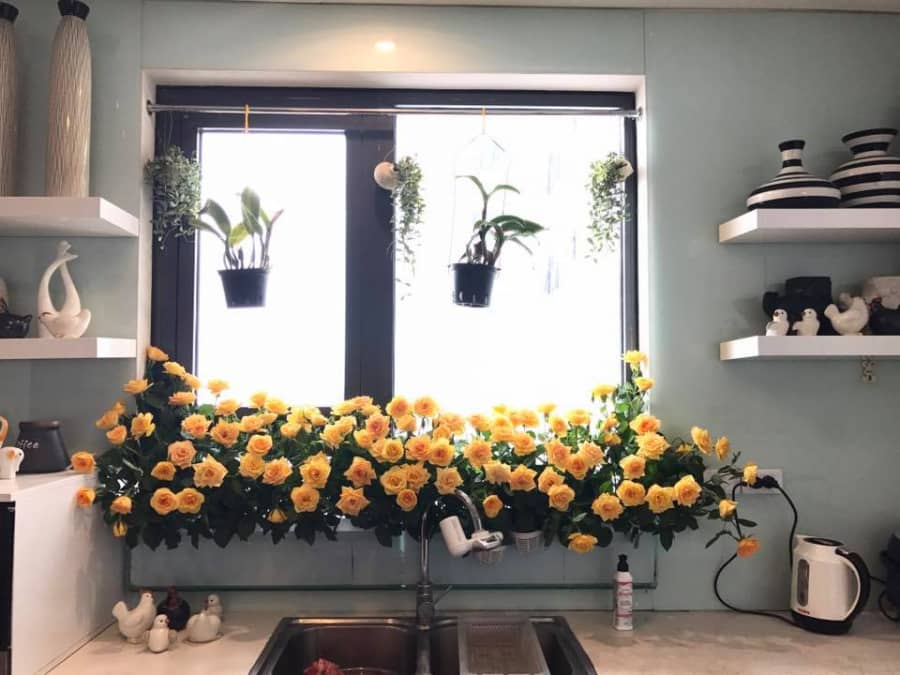 Cách cắm hoa trong bồn kính nhà bếp