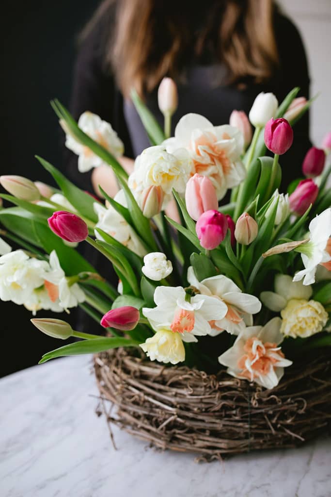 Nghệ thuật cắm hoa tulip trong tổ chim
