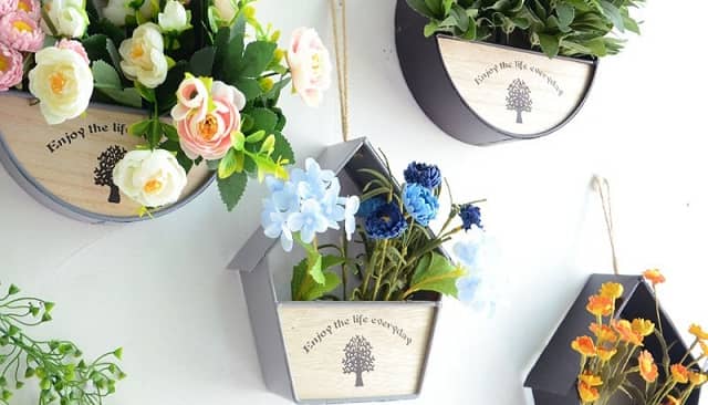 Trang trí nhà bằng chậu hoa treo tường