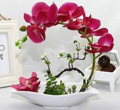 Cắm hoa lan hợp phong thủy