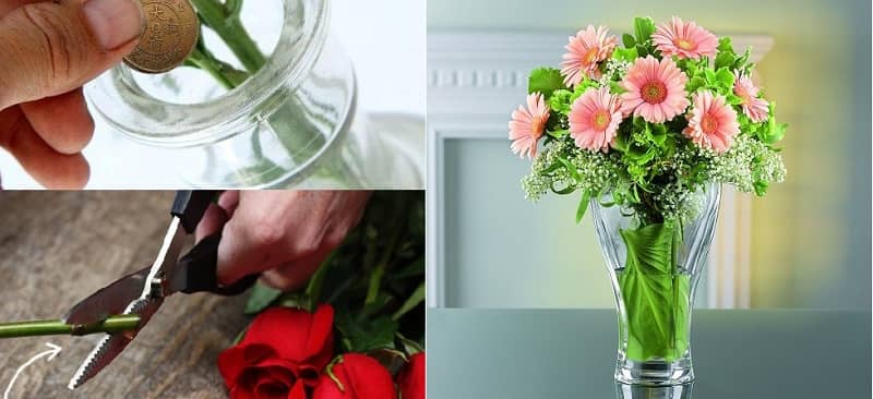 Bí quyết làm sống dậy những bông hoa héo rũ