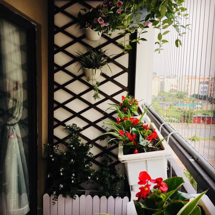 Bí quyết trồng hoa ban công chung cư tuyệt đẹp