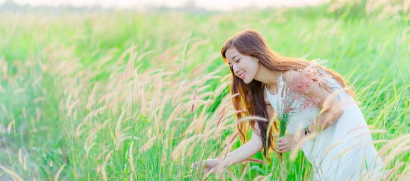 Ý nghĩa hoa cỏ may một nỗi niềm đau trong tình yêu xa cách