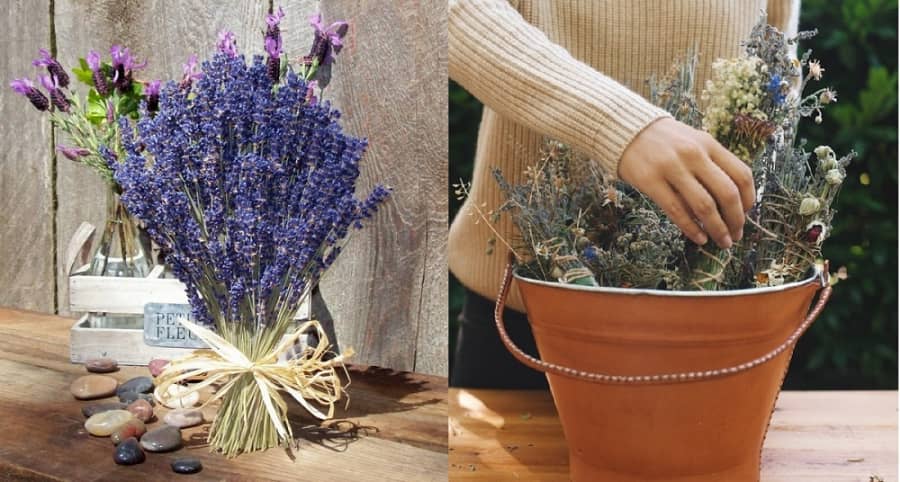 Bỏ túi bí kíp cắm hoa Lavender đẹp chuẩn Pháp