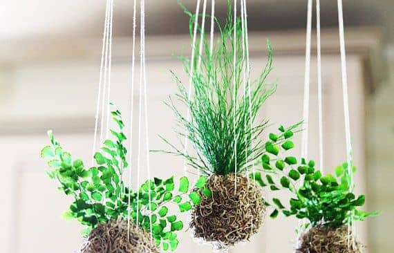 Hoa treo Kokedama phong cách Nhật Bản đẹp hút mắt