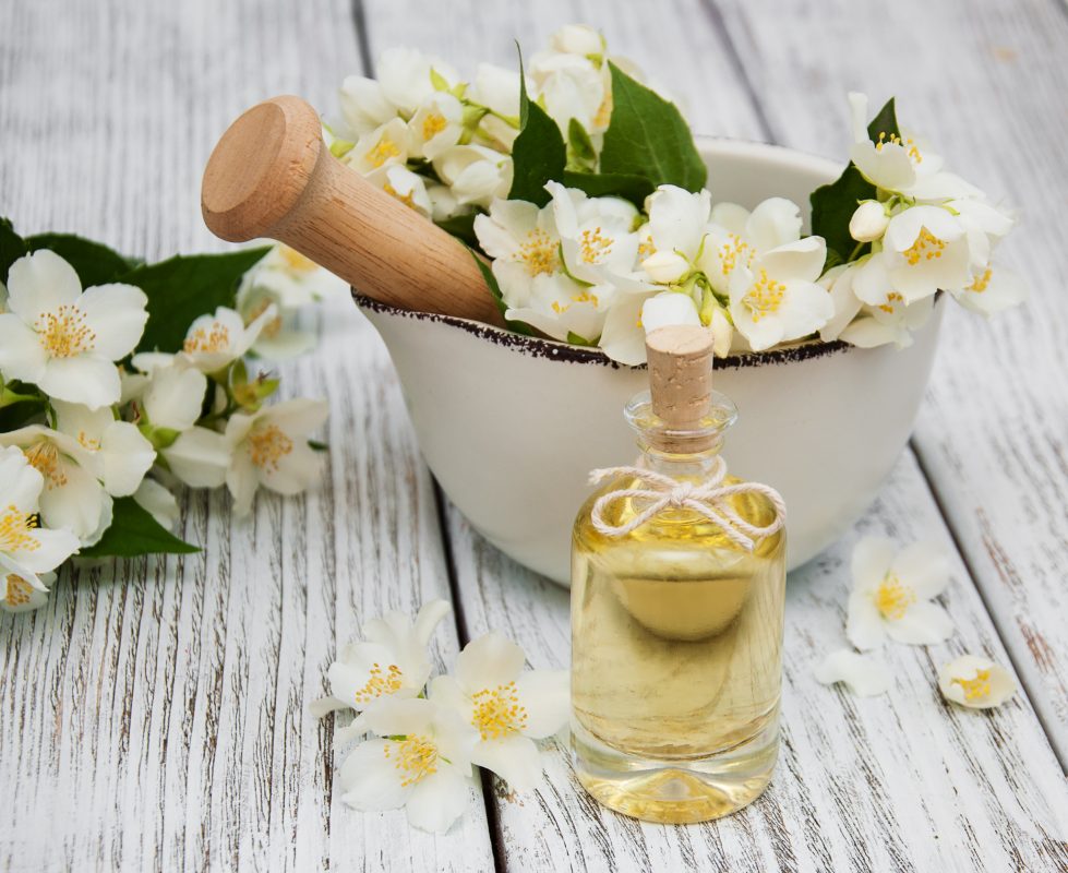 Chiết xuất hương thơm của hoa nhài để ứng dụng vào sản xuất mỹ phẩm và nước hoa.