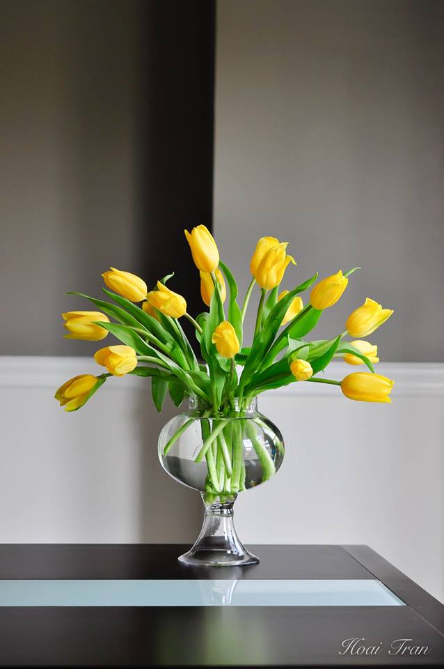 Tổng hợp những mẫu cắm hoa Tulip độc đáo ai nhìn cũng mê