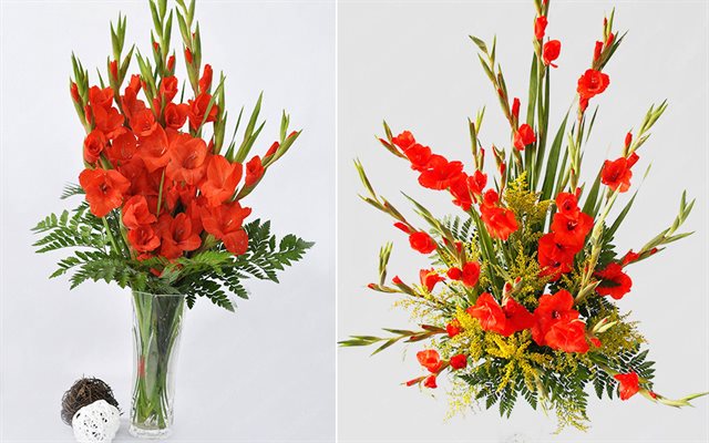 Top 10 loại hoa mang lại phú quý, tài lộc nhất định phải trưng ngày Tết