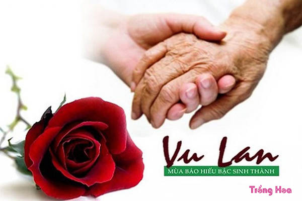 Cúng hoa gì vào ngày lễ Vu lan để bày tỏ lòng thành kính?