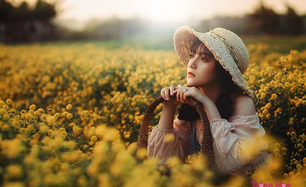 Top 7 loại hoa mùa thu đẹp nhất gây xao xuyến lòng người