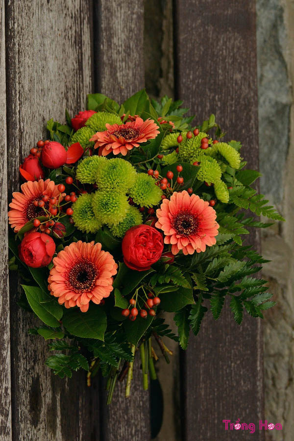 5 loại hoa tặng bố ý nghĩa nhất thể hiện sự biết ơn sâu sắc
