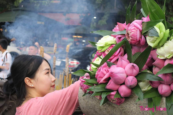 Ý nghĩa màu sắc hoa tặng mẹ ngày lễ Vu lan báo hiếu