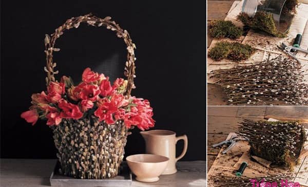 Mách bạn 3 cách cắm Nụ tầm xuân cho ngày Tết rực rỡ