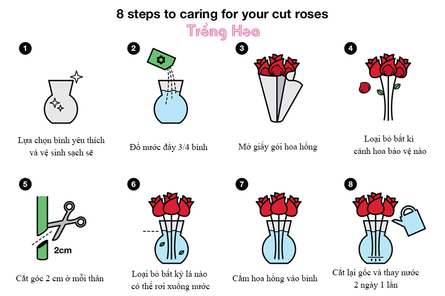 cách giữ hoa hồng tươi lâu ngày lễ tình nhân