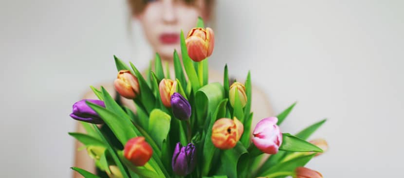 Những bài thơ hay về hoa tulip