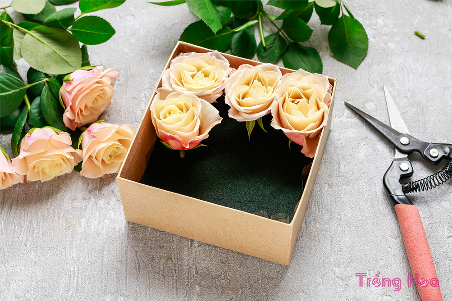 Cách làm hộp quà hoa hồng tươi