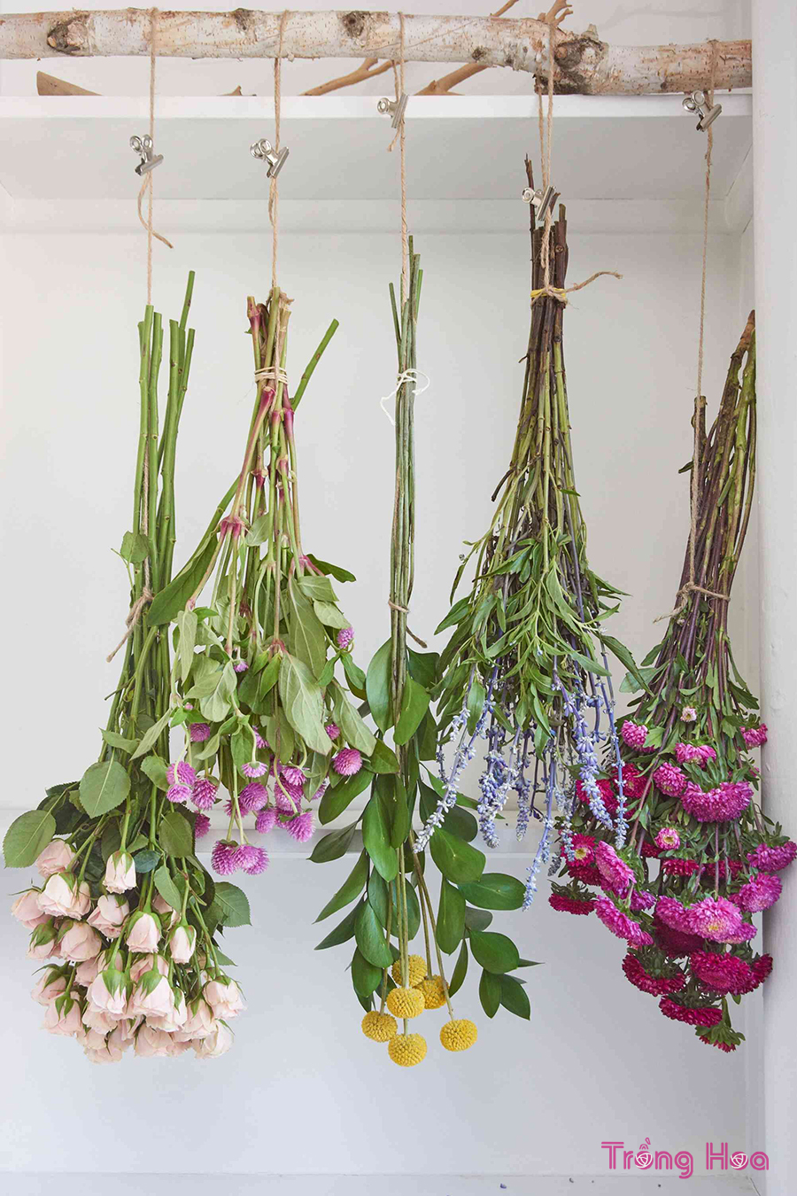 Cách làm khô và bảo quản hoa